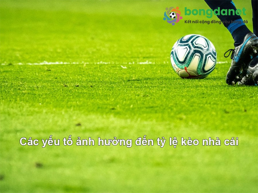 Phân tích đội hình, phong độ ảnh hưởng tới tỷ lệ kèo